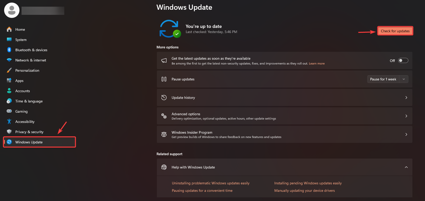 Windows Update screen showing Check for updates option