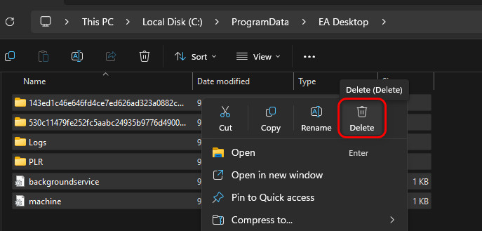 Delete EA cache files