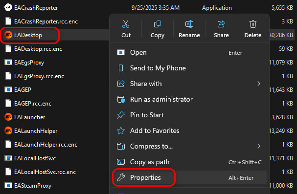EA Desktop properties window