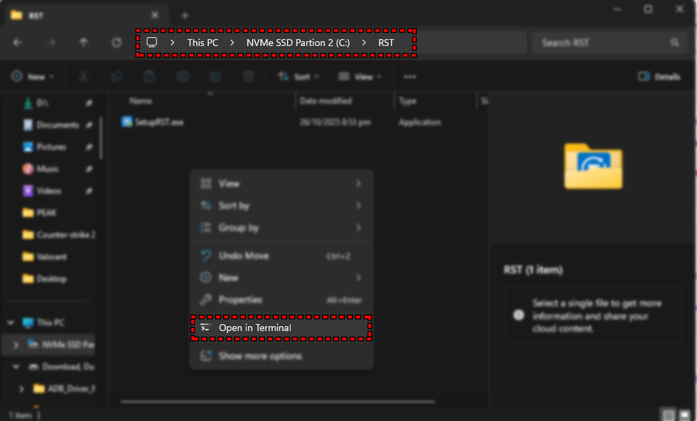 Opening Command Prompt in RST folder