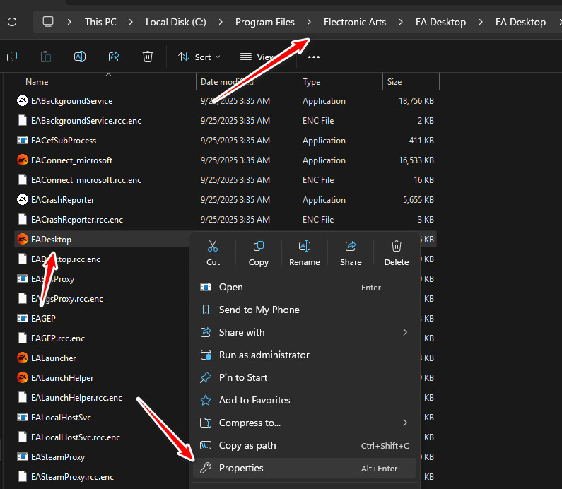 EA Desktop properties window