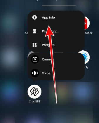 Open ChatGPT app info (alternate screen)