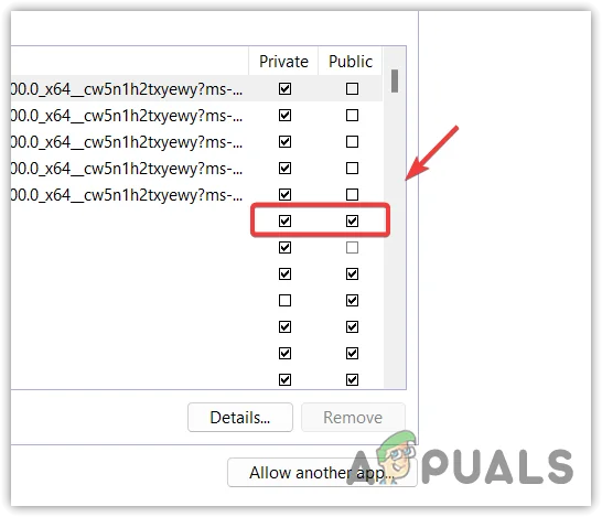 Firewall app permissions showing Private/Public checkbox options