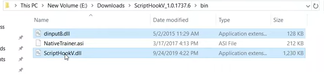 Script Hook V files in Bin folder