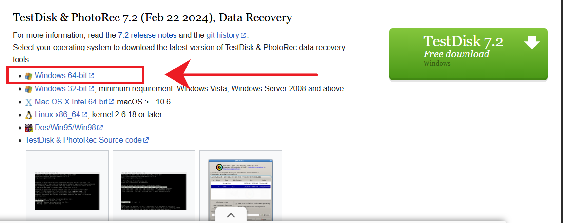 Select TestDisk version