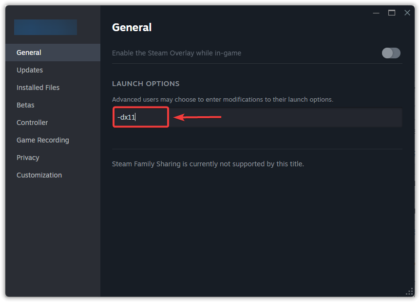 Set DX11 launch option for ARC Raiders