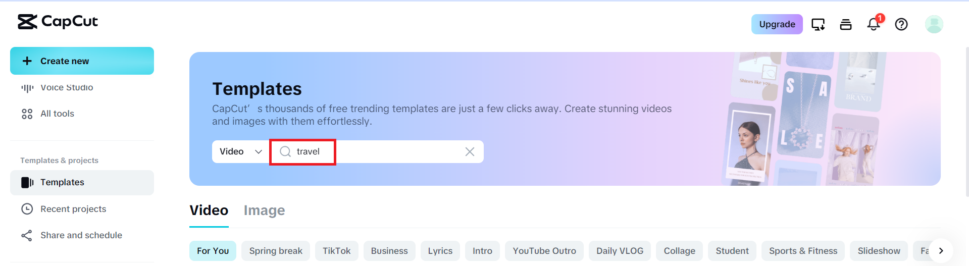 CapCut mobile or web template search returning no content even though the Templates section is visible.