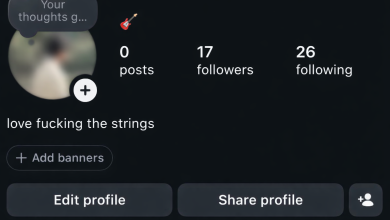 Instagram profile where the song under the bio is missing or the Add music to your profile option is absent.
