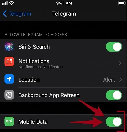iPhone Cellular settings showing Telegram enabled for mobile data.