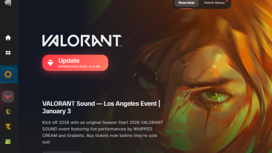 Riot Client stuck on Update or Preparing Download with no real progress on Windows.