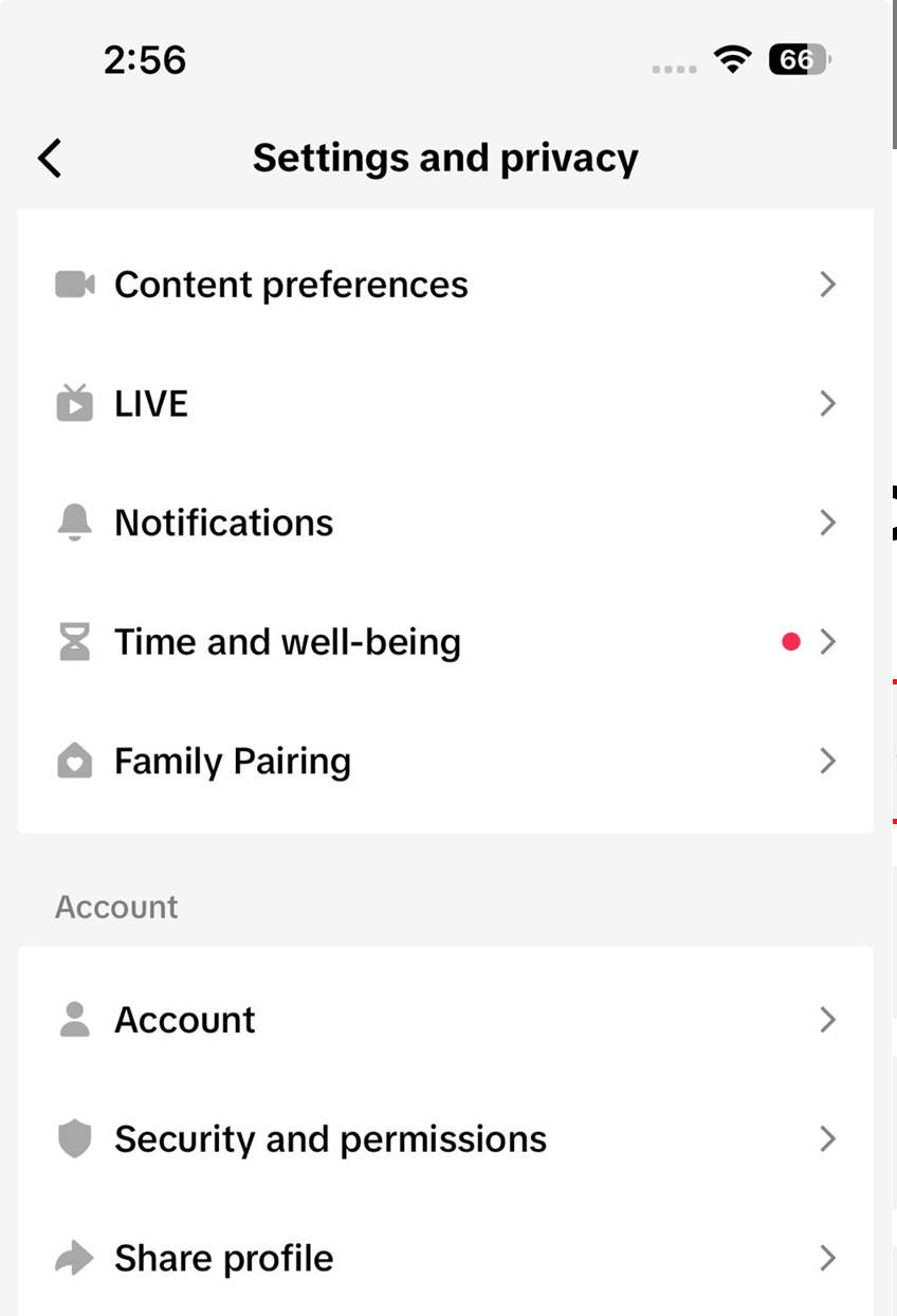 TikTok Security checkup page showing phone number, email, 2 step verification, and passkey options.