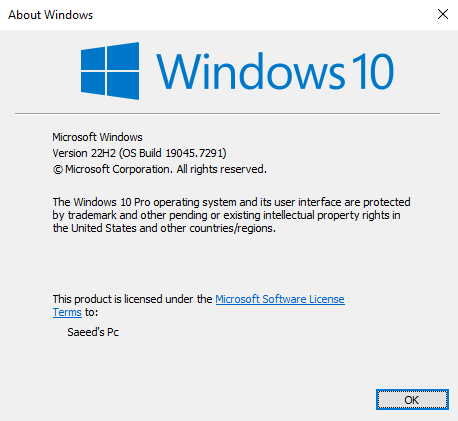 Windows 10 winver build check and DirectX Diagnostic Tool open while troubleshooting Subnautica 2.