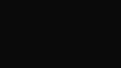 WhatsApp home screen missing the Communities tab or missing the New Community option.