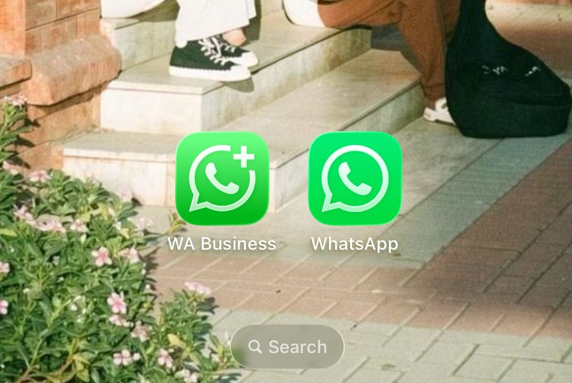 A phone showing WhatsApp Messenger and WhatsApp Business side by side while Communities is missing on one app.