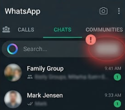 WhatsApp chat list with the Meta AI blue and purple circle or Ask Meta AI search path missing from the screen.