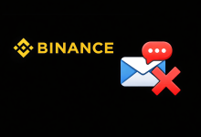 Binance login or security verification screen waiting for a code that never arrives by email or SMS.