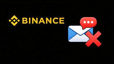 Binance login or security verification screen waiting for a code that never arrives by email or SMS.