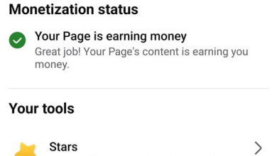 Facebook Professional Dashboard or Meta Business Suite open while the Content Monetization option is missing.