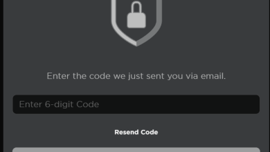 Roblox login screen waiting for a verification code email that never arrives.