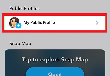 Snapchat profile and Stories screen showing a public Story or Public Profile option missing or not visible.