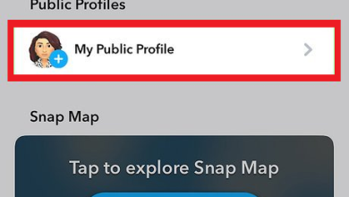 Snapchat profile and Stories screen showing a public Story or Public Profile option missing or not visible.