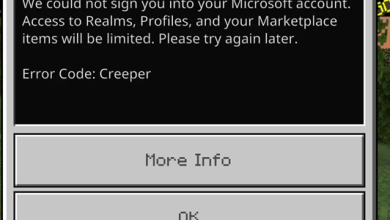 Minecraft Bedrock showing Error Code Creeper while multiplayer, account, and network settings are being checked.